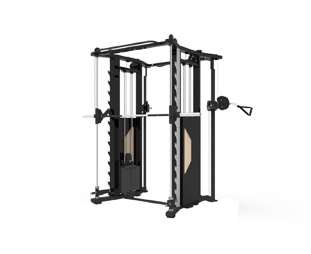 史密斯飞鸟训练器