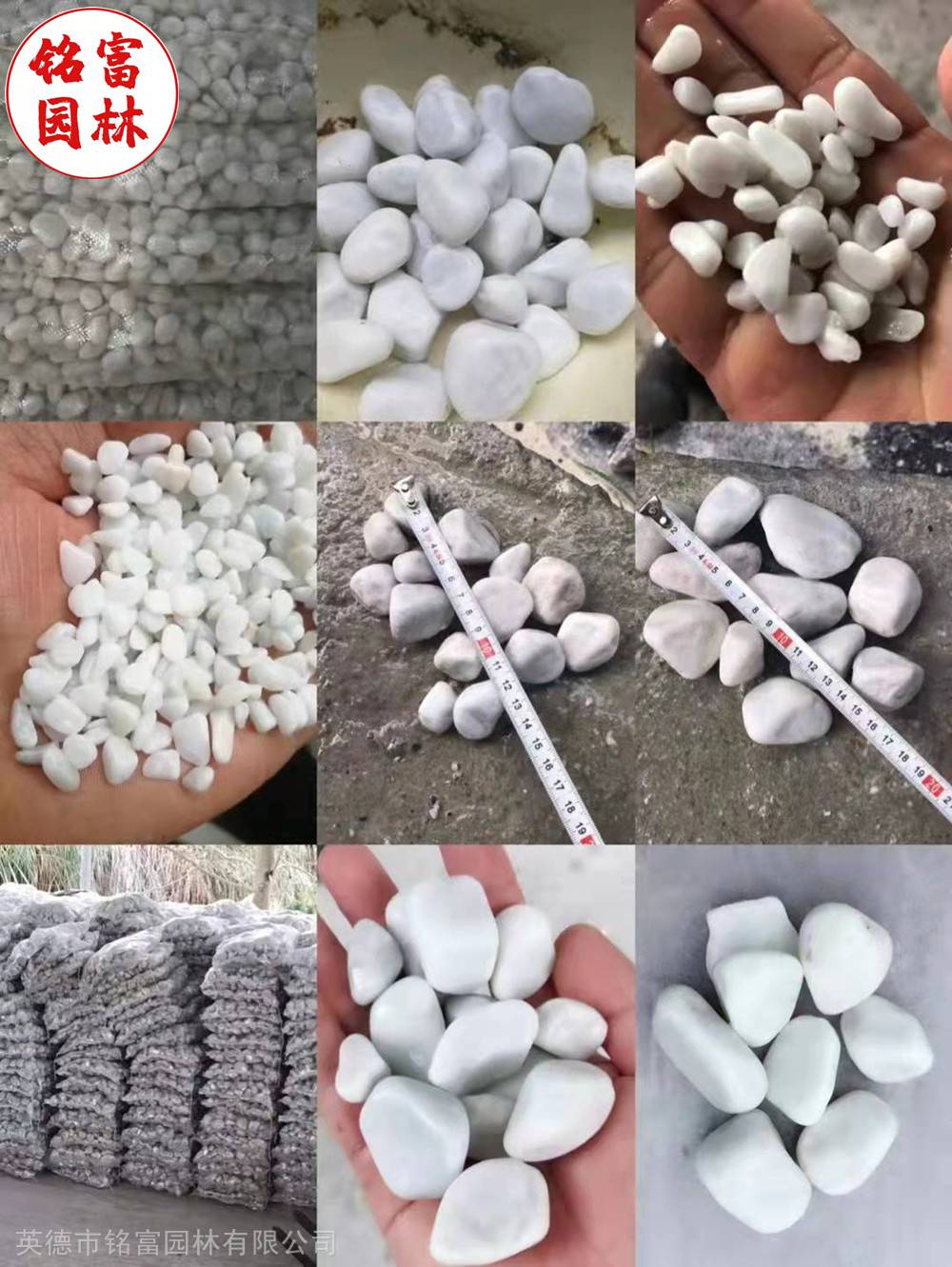 花园路径铺路石-白色鹅卵石-茂名鹅卵石厂家(图4) 花园路径铺路石-白色鹅卵石-茂名鹅卵石厂家(图4)