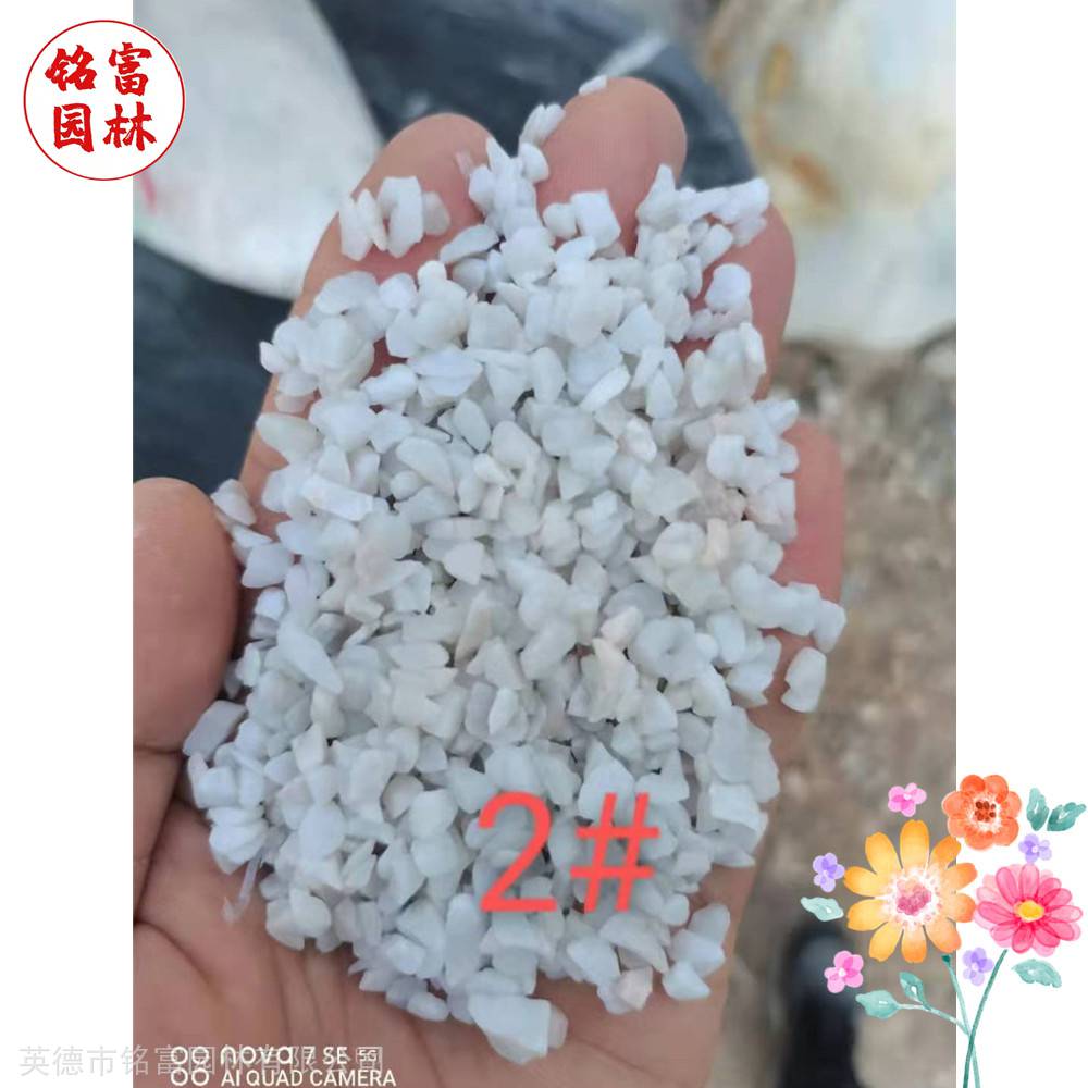 花园路径铺路石-白色鹅卵石-茂名鹅卵石厂家(图6) 花园路径铺路石-白色鹅卵石-茂名鹅卵石厂家(图6)