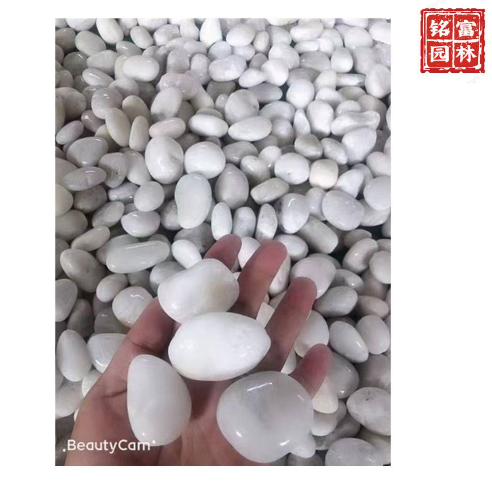 花园路径铺路石-白色鹅卵石-茂名鹅卵石厂家(图10) 花园路径铺路石-白色鹅卵石-茂名鹅卵石厂家(图10)